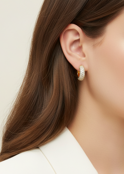 Full Circle Pave Hoop (PRE-ORDER)