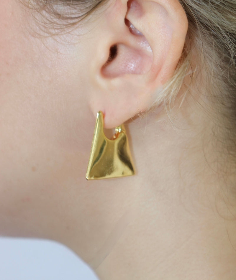 Trigon Earrings